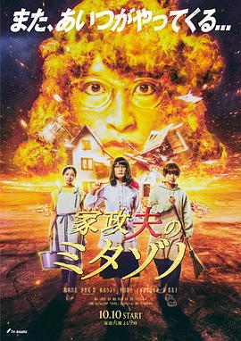 热铁皮屋顶上的猫
